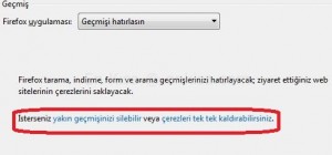 Mozilla Firefox Girdiğim Siteleri Silmek